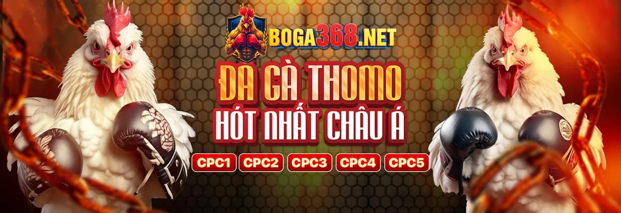 Đá Gà Trực Tuyến Luck88 - Sân Chơi Cá Cược Hấp Dẫn